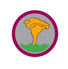 Fil:Merke Rover Matauk.png