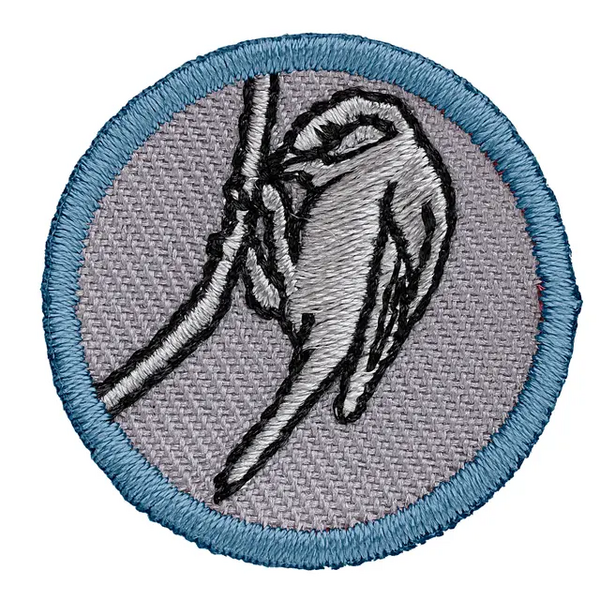 Fil:Merke Tropp Fuglekjennskap.webp