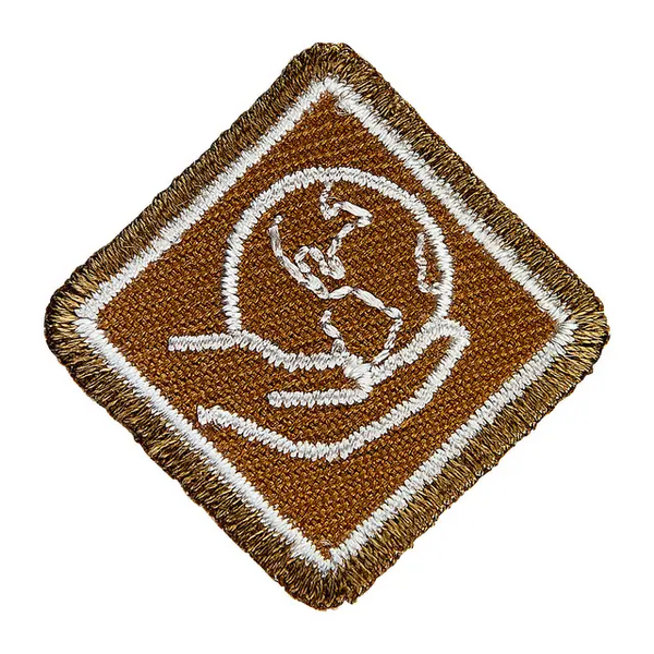 Fil:Programmerke Bever Vennskap.webp