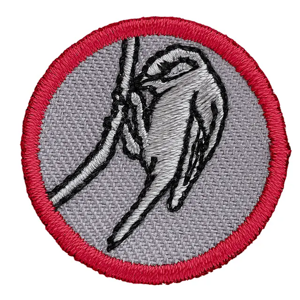 Fil:Merke Rover Fuglekjennskap.webp