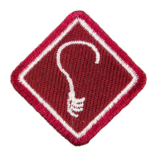 Fil:Programmerke Rover Kreativitet.webp