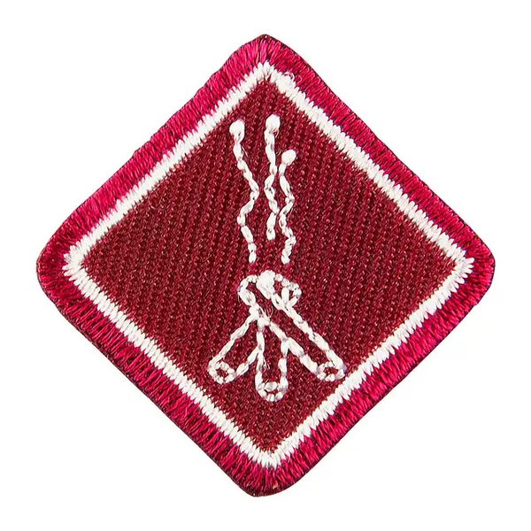 Fil:Programmerke Rover Vennskap.webp