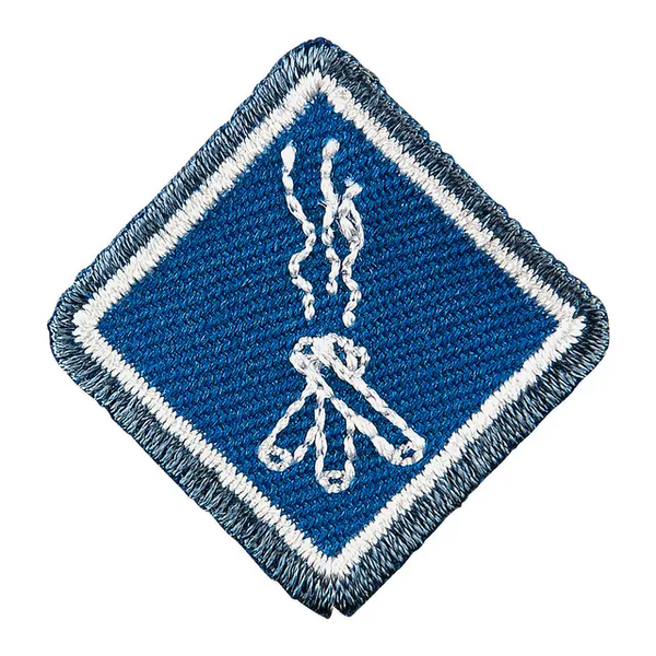 Fil:Programmerke Tropp Vennskap.webp